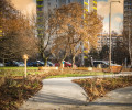 Park kieszonkowy na warszawskiej Pradze-Południe