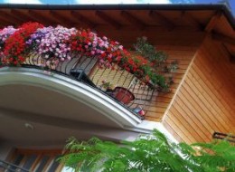 Jeśli nie jesteśmy szczęśliwymi posiadaczami ogródka lub ogrodu przed domem, musimy często zadowolić się jedynie naszym balkonem. Takie miejsce może również sprzyjać relaksowi w długie, ciepłe letnie popołudnia. Jednak warunki panujące na balkonie nie są przyjazne dla znajdujących się tam roślin. Spowodowane jest to o wiele wyższą temperaturą od tej panującej na otwartej przestrzeni, do tego nagrzane ściany domów dodatkowo ogrzewają powietrze. Jak więc zadbać o swoje roślinki balkonowe? 
