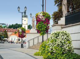Tegoroczna edycja plebiscytu Terra Flower Power rozpoczęta. Od 1 do 22 lipca trwały zapisy do tegorocznego konkursu. Do rywalizacji o miano Najpiękniej Ukwieconego Miasta w Polsce przystąpiło ponad 100 uczestników. W śród nich znajdziemy przedstawicieli z niemal każdego zakątka kraju – począwszy od małych miejscowości, skończywszy na wielkich metropoliach. Głosowanie na kandydatów rozpoczyna się już 1 sierpnia.
