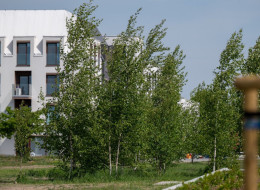 Na mapie Wrocławia pojawił się nowy, starannie zaprojektowany teren rekreacyjny – Skwer Hansa Scharouna, który powstał w obrębie modelowego osiedla Nowe Żerniki. 