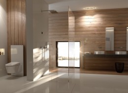 Producenci materiałów budowlanych od lat szukają rozwiązań produktowych, które pozwoliłyby im na dostosowanie się do potrzeb projektantów. Geberit Monolith jest idealny dla tych, których wyobraźnię dotychczas ograniczała technika.