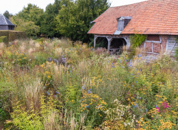 Le Jardin Plume to prywatny ogród pełen zróżnicowanych nasadzeń zlokalizowany w pobliżu miasta Rouen na północy Francji. Jego początki sięgają roku 1996, kiedy to obecni właściciele, Patrick i Sylvie Quibel, zakupili działkę z sadem i sporą ilością płaskiej przestrzeni, dawniej wykorzystywaną do wypasu owiec. W przeciągu kilkudziesięciu lat Le Jardin Plume stał się ogrodem znanym niemalże na całym świecie, zdobywając sporo nagród w branżowych konkursach.