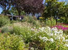 Naturalny ogród De Tuin van Fortmond, w którym głównymi nasadzeniami są ozdobne trawy, przylega do nowoczesnego domu z wieloma przeszkleniami. Położony jest on w zakolu rzeki Ijssel, w holenderskim mieście Fortmond, od którego pochodzi również nazwa założenia. Jego właścicielami są Josée i Willem de Haan, jednocześnie będący projektantami aranżacji. Z działki roztacza się widok na rzekę Ijssel i pobliskie wzgórza Veluwe.