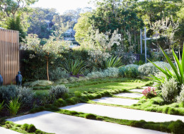 Ogród położony bezpośrednio przy plaży w Sydney wykorzystuje naturalne warunki, aby w pełni wyeksponować nową aranżację zaprojektowaną przez Fifth Season Landscapes. Studio założone w 2009 r. przez Phila Antcliffa i Jacka Hayesa skupia się na wprowadzaniu do projektów nowoczesnych rozwiązań przy jednoczesnym poszanowaniu naturalnego otoczenia.