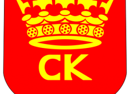 Konkurs na opracowanie koncepcji funkcjonalno-przestrzennej Budowa Centrum Komunikacyjnego wraz z systemem informacji dla pasażerów.  