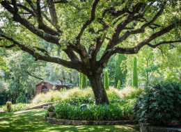 Studio English Garden z siedzibą w prowansalskim Valbonne zostało założone przez dwóch braci pochodzących z wysp brytyjskich Ich projekty łączą w sobie pasję do roślin oraz zamiłowanie do sztuki i designu. Nazwa wskazująca na angielski styl ma jednak znacznie szersze znaczenie, a w projektach studia widać zarówno styl wyspiarski, jak i francuski, dopasowane do warunków projektowych. Jedną z ich prac jest aranżacja ogrodu znajdującego się przy zabytkowym, typowym dla regionu Prowansji, domu, pełnym nie tylko zróżnicowanych nasadzeń, ale też i zakątków służących wypoczynkowi.