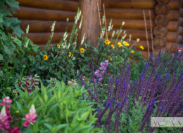 Ogrody naturalistyczne inspirowane są naturalnymi ekosystemami roślinnymi, przede wszystkim o charakterze lokalnym. Kompozycja takiego ogrodu opiera się na formach występujących w naturze. Jedna z takich przestrzeni w 2022 r. została zaaranżowana przez Katarzynę Warańską z pracowni KRES-KA. Po roku od metamorfozy można oglądać efekty pracy, bujnie rozrastającą się roślinność i feerię barw tworzoną przez kwitnące byliny.