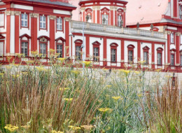 Metamorfoza Wyspy Daliowej była jednym z kroków Wrocławia w procesie otwarcia się na rzekę Odrę. Dzięki rewitalizacji tego obszaru, mieszkańcy i odwiedzający miasto mogą teraz korzystać z zielonego otoczenia, pełnego miejsc do odpoczynku, w którym stanęła także nowoczesna, ożywiająca przestrzeń rzeźba autorstwa Oskara Zięty.  