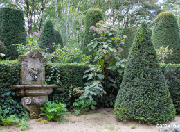 Jardin Agapanthe położony we francuskiej Normandii to dzieło właściciela posesji, a jednocześnie architekta krajobrazu i projektanta Alexandre'a Thomasa, który od dwudziestu pięciu lat zawodowo zajmuje się projektowaniem ogrodów. W czasie wolnym od pracy stworzył on swoją prywatną aranżację, charakteryzującą się wyraźną formą i strukturą. W sezonie letnim ogród Jardin Agapanthe jest dostępny dla zwiedzających, w ofercie znajduje się także zwiedzanie nocne.