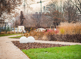Początkiem grudnia 2022 r. w Warszawie został oddany do użytku kolejny park kieszonkowy. Tym razem powstał on w dzielnicy Praga-Północ, przy ul. Zamoyskiego i jest to kolejna inwestycja związana z szerszym projektem o nazwie „Pocket Parki dla Warszawy”. Powstanie nowego parku kieszonkowego na Pradze-Północ sfinansowane zostało ze środków Budżetu Obywatelskiego, prace wykonała firma AG-Complex. a za projekt odpowiada Urszula Michalska ze studia Kształtownia.pl.