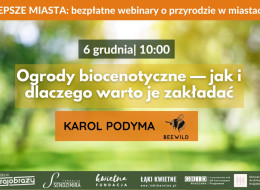 Ogrody biocenotyczne to wsparcie dla dzikiej przyrody i łagodzenie skutków zmian klimatu. To połączenie łąki kwietnej, lasu kieszonkowego i ogrodu deszczowego i sposób na stworzenie prawdziwych hotspotów bioróżnorodności. Nawet na bardzo małych przestrzeniach.