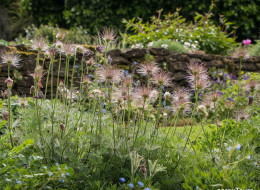 Pettifers Garden, położony w hrabstwie Oxfordshire jest miejscem, które od lat przyciąga uwagę miłośników przyrody i estetyki ogrodów z całego świata. Zaprojektowany i pielęgnowany przez właścicielkę Ginę Price, jest przykładem tradycyjnej angielskiej sztuki ogrodniczej, która łączy w sobie zarówno elegancję, jak i naturalność.