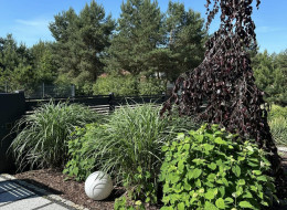 Ogród zaprojektowany w Zawilcach przez Magdalenę Dudę ze studia Garden Design to przykład nowoczesnej aranżacji naturalistycznego ogrodu z wykorzystaniem zastanych elementów. Działka, na której w 2018 r. został zaprojektowany ogród, położona jest nad jeziorem, co było głównym czynnikiem ukierunkowującym styl i charakter nasadzeń.
