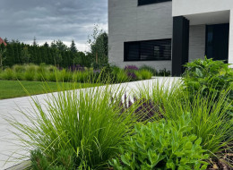Nowoczesny ogród zaprojektowany przez GardenRoom w Piotrkowie Trybunalskim cechuje się nowoczesnym i uporządkowanym stylem, który komponuje się z otoczeniem i bryłą domu właścicieli posesji. W projekcie zastosowano różnorodność roślin, które razem tworzą spójną i estetyczną kompozycję, nie wymagającą zbyt częstej pielęgnacji.