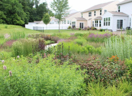 Andrew Marrs, projektant ogrodów z Bloomington w amerykańskim stanie Indiana, stworzył ogród, który jest przykładem naturalistycznego podejścia do projektowania krajobrazu. Hoge Road Garden cechuje różnorodność biologiczna i estetyczna spójność, zachęcająca do poznawania przyrody i obserwowania życia toczącego wśród zieleni.