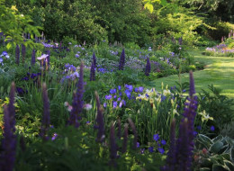 Zaprojektowany w sposób naturalistyczny Adel's Garden, zlokalizowany na wschodnim wybrzeżu Kanady, cechują szerokie rabaty z bujnymi nasadzeniami i trawiaste ścieżki. Wysokie drzewa rosnące pojedynczo lub w kępach zapewniają roślinom osłonę przed mocnym nasłonecznieniem, chroniąc również glebę przed zbyt dużą utratą wilgoci. Adel's Garden wpisuje się w okoliczny krajobraz, stanowiąc dla jej właścicielki oazę spokoju, służącą długim spacerom i wypoczynkowi.