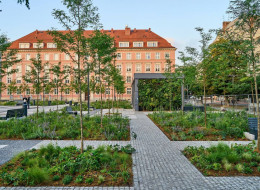 Otwarcie zrewitalizowanego placu Nowy Targ we Wrocławiu miało miejsce w pierwszych dniach lipca 2024 r., po pracach trwających od jesieni roku ubiegłego. Prace modernizacyjne objęły zarówno nasadzenia roślinne, jak i roboty konstrukcyjne. Konieczne było rozbetonowanie placu, aby zrobić miejsce dla nowych nasadzeń, co było kluczowym elementem projektu rewitalizacji.