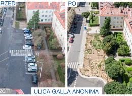 Park kieszonkowy, który powstał u zbiegu ulic Kassyusza i Galla Anonima w Poznaniu, jest efektem realizacji projektu „Cała wuchta zieleni dla Jeżyc!”. Projekt realizowany w ramach Poznańskiego Budżetu Obywatelskiego zdobył ponad 1200 głosów mieszkańców. Koszt inwestycji wyniósł prawie 670 tys. zł, z czego ponad 300 tysięcy pochodziło z budżetu obywatelskiego.