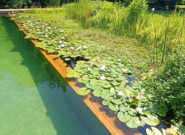 Staw kąpielowy zaprojektowany przez studio Lunatic Garden na prywatnej posesji w Lublinie współgra z leśnym charakterem terenu, dodając mu jeszcze więcej naturalności. Otoczony przez drzewa staw wymagał specjalnych zabiegów filtracyjnych, o które już na etapie projektu zadbali jego twórcy. Wokół stawu zaprojektowano także strefę rekreacyjną, pozwalającą właścicielom posesji na wypoczynek w urokliwym otoczeniu.