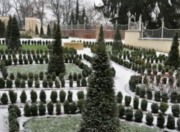 Po pierwszych przymrozkach, kiedy ziemia twardnieje i zdaje się ciężka do pracy, powinniśmy zacząć przygotowywać się do zabezpieczenia naszego ogrodu. Szczególną uwagę należy poświęcić gatunkom, które nie lubią zimna i są wrażliwe na niską temperaturę.