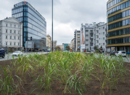 Warszawa podejmuje szeroko zakrojone działania mające na celu zwiększenie ilości zieleni w przestrzeni miejskiej poprzez realizację jesiennych nasadzeń. W ramach tych działań, do końca roku zostanie posadzonych ponad 2000 nowych drzew, co przyczyni się do poprawy estetyki miasta oraz polepszenia jakości powietrza i mikroklimatu. Nasadzenia są realizowane w różnorodnych miejscach – zarówno w pasach drogowych, jak i parkach, skwerach oraz zieleńcach. Kluczowe dla tego projektu jest także zaangażowanie mieszkańców w proces tworzenia zielonych przestrzeni, zwłaszcza w ramach realizacji projektów z budżetu obywatelskiego.