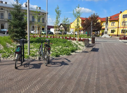 Rynek w Wilamowicach przez długi czas funkcjonował jako utwardzony plac bez wyraźnej struktury przestrzennej i funkcji integracyjnych. Jego modernizacja miała na celu przywrócenie mu znaczenia jako reprezentacyjnego i aktywnego centrum miasta. 