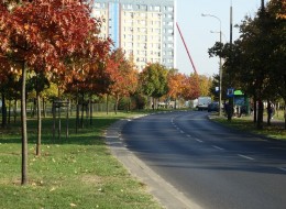 W dniach 26-27 września 2019 W Poznaniu (Miasto Poznań, Plac Kolegiacki 17) odbędzie się VI edycja konferencji Zieleń Przyuliczna.