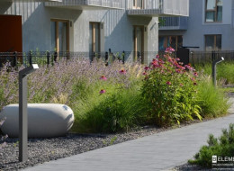 Naturalistyczne nasadzenia, sezonowa zmienność roślin i rozwiązania wspierające miejską bioróżnorodność