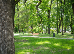 Zabytkowy Park Bronowicki przechodzi jedną z największych przemian w swojej historii.