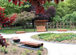 Park Czarneckiego na poznańskich Winogradach przeszedł kompleksową rewaloryzację