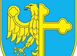 Prezydent Miasta Opola przy udziale Stowarzyszenia Architektów Polskich O/Opole, ogłasza jednoetapowy konkurs architektoniczny na opracowanie koncepcji urbanistyczno - architektonicznej zagospodarowania ulicy Krakowskiej od Placu Wolności do Rynku wraz z jego powierzchnią w Opolu.