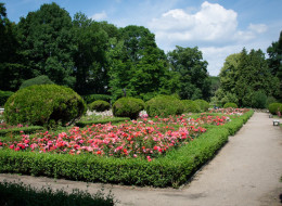 W połowie października ruszają prace modernizacyjne w południowo-wschodniej części Park Skaryszewski.