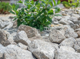 Kruszywo jako naturalny materiał skalny oprócz zastosowania budowlanego, doskonale odnajduje się przy aranżacji przestrzeni prywatnej oraz publicznej, ale coraz częściej znajduje zastosowanie w branży funeralnej. 