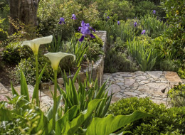 Zaprojektowany przez studio English Garden ogród Arrière cour cechuje przede wszystkim wykorzystanie naturalnego kamienia, który posłużył do wyznaczenia ścieżek, przejść, schodów i podtrzymania zbocza. Jego brązowy kolor z licznymi jaśniejszymi i ciemniejszymi akcentami mocno kontrastuje z intensywną zielenią nasadzeń, wśród których znajduje się szereg roślin zimozielonych, które dbają o estetykę ogrodu przez cały rok.