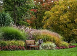 Arboretum Wojsławice zaprasza na 12 Festiwal Traw i Kwiatów Jesieni. który odbędzie się w niedzielę 26 września w godzinach 9-18 