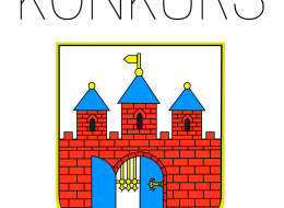 Celem konkursu jest uzyskanie optymalnej pod względem przestrzennym, funkcjonalnym i architektonicznym koncepcji architektoniczno-urbanistycznej zagospodarowania i aranżacji przestrzeni Rynku w Starym Fordonie w Bydgoszczy, uwzględniającej centrotwórczą publiczną funkcję przestrzeni, podkreślającej wyjątkowy charakter miejsca – z uwzględnieniem tradycji, walorów kulturowych i użytkowych.