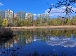 Miasto Katowice planuje utworzenie parku na obszarze około 50 hektarów położonym między ulicami Ligocką i Brynowską.