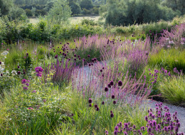Projekt ogrodu w położonym we wschodniej części Anglii hrabstwie Cambridgeshire, autorstwa studia Colm Joseph Gardens, opiera się na połączeniu nowoczesnej bryły domu właścicieli działki, ze swobodą typowych angielskich ogrodów. Nowe założenie współgra z otaczającym posiadłość krajobrazem, tworząc jednocześnie miejsce służące odpoczynkowi i kontemplowaniu natury.