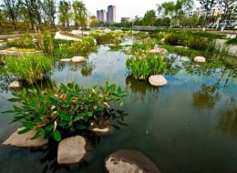 Historycznie, Chiny posiadały niską reputację odnośnie warunków życia, szczególnie w miastach, w których szybko postępował proces rozwoju I urbanizacji. Po wielu dekadach przeludnienia i zanieczyszczenia środowiska oraz braku miejsca na zielone przestrzenie w miastach, Chinom udało się stać światowym liderem w projektowaniu krajobrazu i planowaniu przestrzennym. Projekt Lotus Lake Park pracowni Integrated Planning and Design Inc. ustanawia precedens dla zrównoważonego projektowania urbanistycznego w Chinach. 