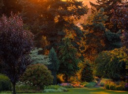 Bożena Piotrowska zajęła drugie miejsce w światowym konkursie International Garden Photographer of the Year w kategorii „Piękne ogrody”. Na konkurs wpłynęło około 20 tys. prac z całego świata