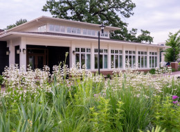W 2024 roku powstała koncepcja ogrodu inspirowanego prerią dla Oak Park – restauracji łączącej kunszt kulinarny z autentyczną gościnnością regionu Środkowego Zachodu. 