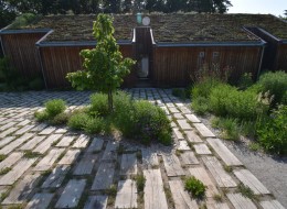 Dom z drewnianą fasadą, dach porośnięty mchem i naturalny ogród dookoła. Tak w wielkim skrócie prezentuje się realizacja mająca na celu dostosowanie ogrodowej zieleni do już istniejącego, wybudowanego w skandynawskim stylu budynku. 