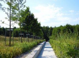 Liczący prawie 8 ha krakowski Park Reduta został założony od zera na terenie miejskich nieużytków – czyni go to jednym z największych tego typu projektów zrealizowanych w ostatnim czasie. O wyglądzie i udogodnieniach parku zdecydowali mieszkańcy, biorący udział w konsultacjach społecznych zainicjowanych przez Zarząd Zieleni Miejskiej. Instytucja ta jest także inwestorem projektu, a jego opracowaniem zajęła się krakowska firma Saneccy Sp. z o.o.