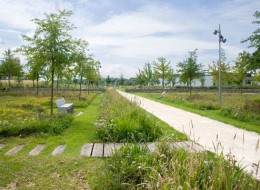 W jaki sposób zaprojektować rozległy obszar tak, aby wyglądał jakby od zawsze tam był? Parc du Mont Evrin we Francji zaprojektowany przez pracownię Urbicus to przykład przekształcenia mało naturalnej przestrzeni w przyrodniczy park służący mieszkańcom.