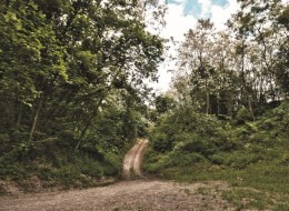 Rekultywacja terenu to proces odzyskiwania walorów danego obszaru, który został zdegradowany bądź zanieczyszczony działalnością człowieka. Usunięcie szkodliwych substancji z gleby pozwala uzyskać nową powierzchnię, która czeka na dobry pomysł zagospodarowania i zadowolonych użytkowników.