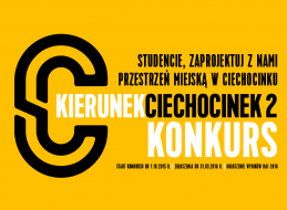 Producent kostki brukowej wraz z Gminą Miejską Ciechocinek ponownie zapraszają studentów architektury oraz architektury krajobrazu do udziału w konkursie, którego celem jest uatrakcyjnienie przestrzeni miejskiej.