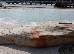 Biodesignpools to włoska technologia, pozwalająca na tworzenie basenów z dowolnie modelowaną linią brzegową i indywidualnym kształtem, które mogą imitować egzotyczne plaże czy alpejskie jeziora. Co ciekawe, największy tego typu akwen na świecie powstał w... Polsce, w miejscowości Osiek k. Oświęcimia. 