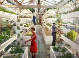 Aquaponics w języku angielskim łączy ze sobą dwa określenia: aquaculture (hodowla ryb) oraz hydroponics (wzrost roślin w warunkach bezglebowych). Nie bez przyczyny oba zjawiska występują wspólnie. Są bowiem ściśle od siebie zależne. Jedynym przykładem takiego obiektu w Europie działającego w skali przemysłowej jest farma zlokalizowana w Basel, w Szwajcarii. Dodatkowo zbudowano ją dachu budynku LokDepot.