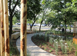Nowy park kieszonkowy w Wawrze, położony w sąsiedztwie stacji PKP Miedzeszyn przy ulicy Patriotów, to przykład udanego projektu zielonej przestrzeni miejskiej, który łączy estetykę z funkcjonalnością i ekologią. Realizacja tego przedsięwzięcia, której koszt wyniósł 396 000 zł, przyczyniła się do przekształcenia zaniedbanego terenu w park kieszonkowy, który służy mieszkańcom jako miejsce wypoczynku oraz poprawia lokalny mikroklimat.