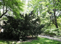 Park Hutników w Chorzowie stanowi przykład przekształcenia zdegradowanego terenu poprzemysłowego w funkcjonalną przestrzeń publiczną o znaczeniu krajobrazowym i społecznym.